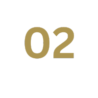 02 Realtor
